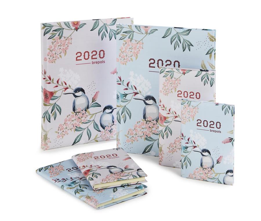 Zoveel meer dan papier