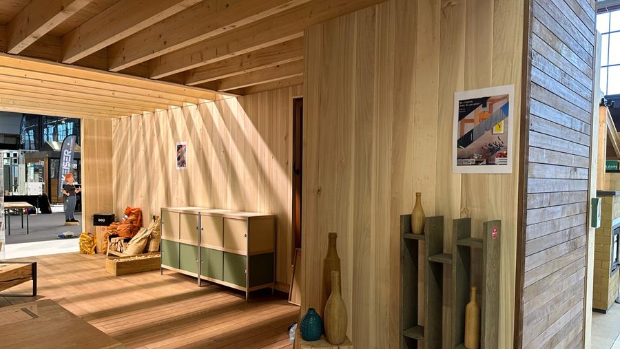 Le peuplier: une essence de bois sous-estimée