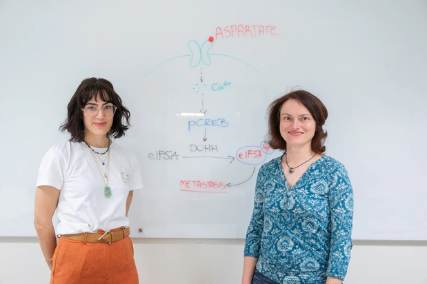 Pourquoi les cancers migrent-ils souvent vers les poumons?