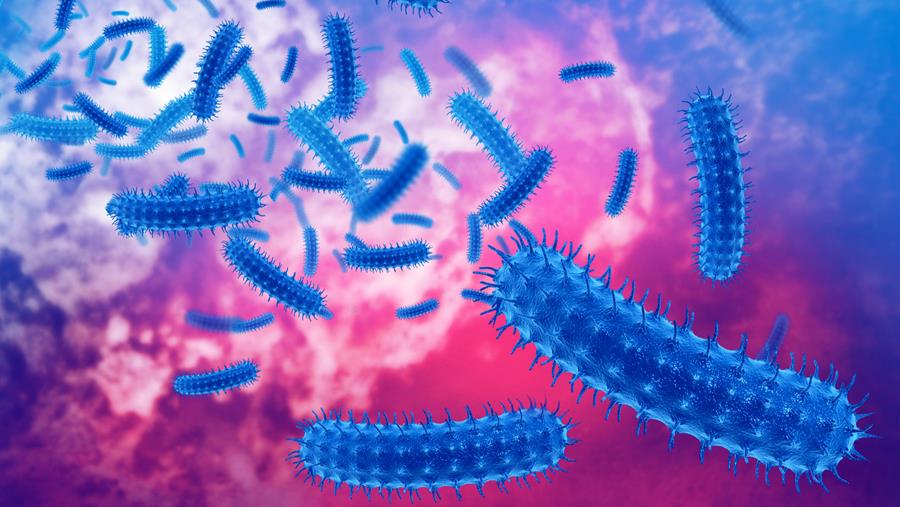 Les résidus d'antibiotiques dans les aliments peuvent favoriser la résistance bactérienne
