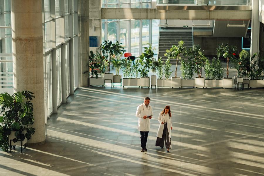 Étude Maha : le calme avant la tempête ?