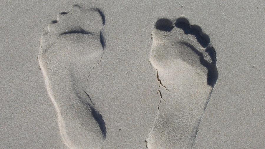 ePS, Esko et CarbonQuota collaborent sur le reporting carbone automatisé