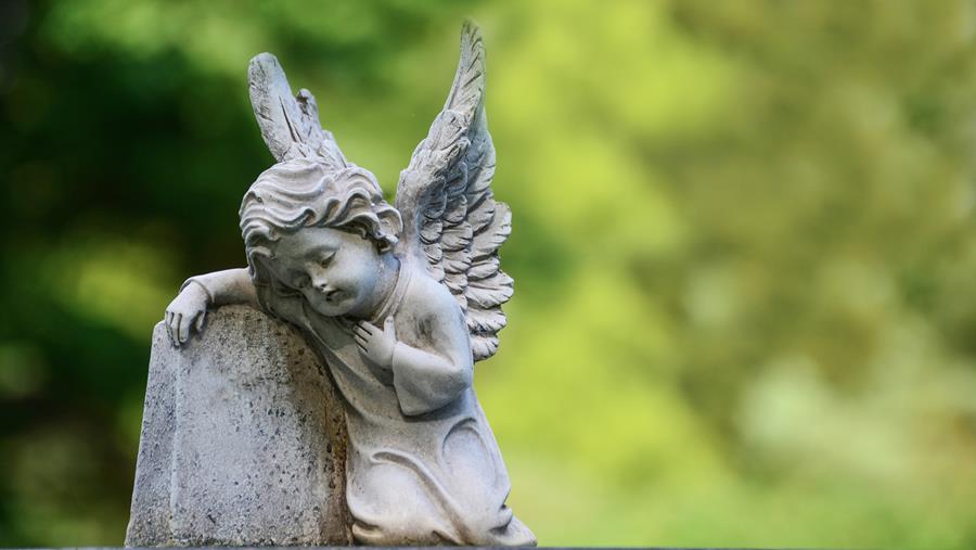 Comité Bio-ethiek: Geen begraving in tuin voor doodgeboren foetus