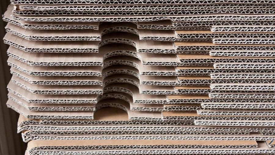 Corrugated: nieuw platform voor golfkarton, converting en 3D-displays