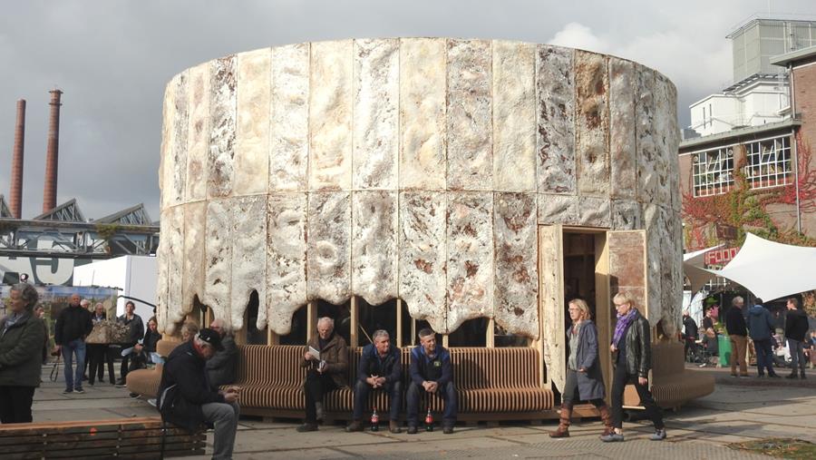 Bouwen met schimmels